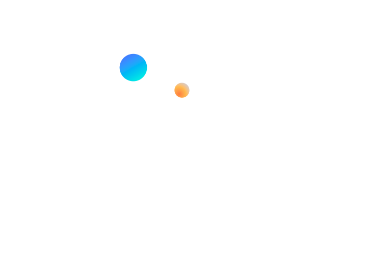 Brain